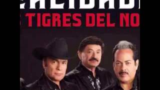 Los tigres del norte cuestión olvidada en vivo