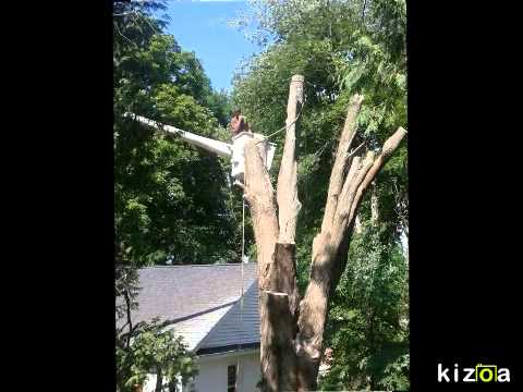 Kizoa - Video Maker: Torcasio Tree Service / Hazardous Tree Experts, Danbury Ct