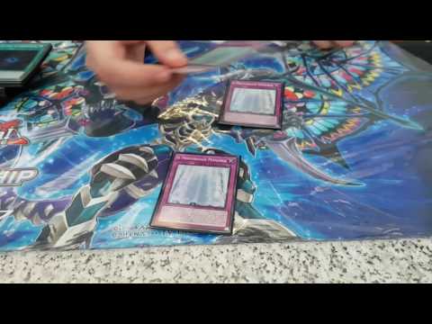 Profile Domain Monarch Federico Venturi 6th place WCQ Regional Velletri