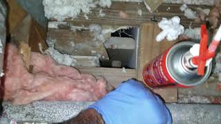 How To Seal And Pest Proof An Attic Against Roaches With Exclusion Foam.