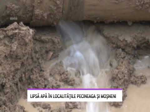 Lipsă apă în localitățile Pecineaga și Moșneni - LITORAL TV