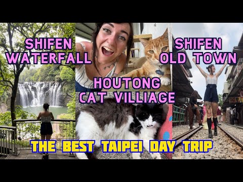 Taiwan Cat Villiage 🐈 Cachoeira Shifen 🌊 Lanternas do Céu 🏮 ULTIMATE Viagem de um dia a Taipei 🇹🇼 Travel VLOG 2023