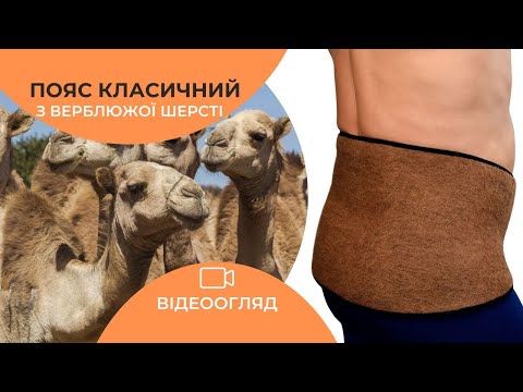 Пояс для спины из верблюжьей шерсти Премиум L (обхват 115-135 см) - фото 1 - id-p1461606944