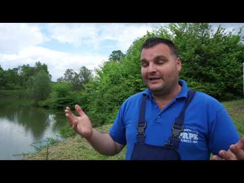 Moja pijaca: Porodica Bojić (Velika Krsna)