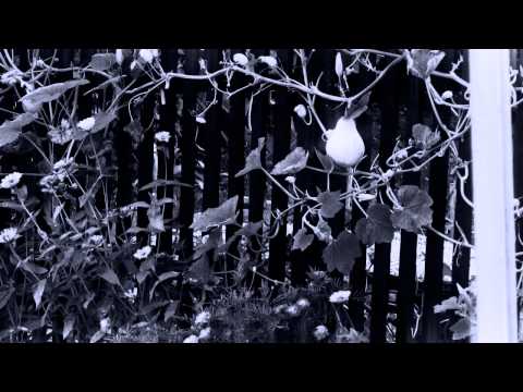 STUDIOURILE SULIGHETE - Photography