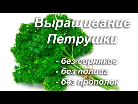 Пигментация кожи летом на лице Пигментные пятна после загара причины