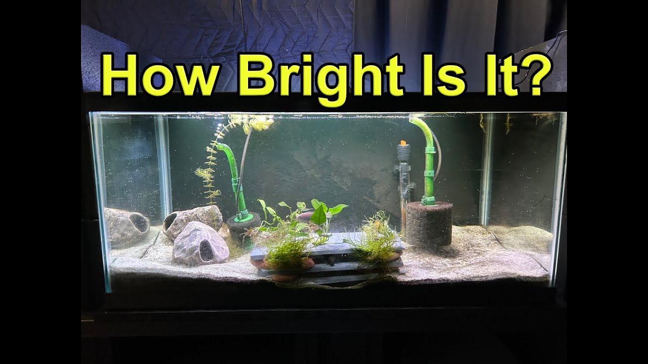 Hygger HG135 Submersible LED Aquarium Light, Review: Best LED Light for Tanks?
