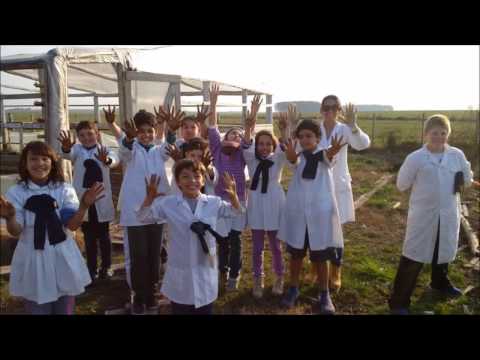 Flor de Ceibo - Rivera - 2016