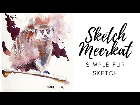 Sketching Meerkat | Tips on Sketching Furry Animals (7 min)
