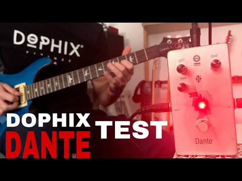 Dophix Dante 2022 Natural image 10