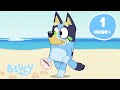 Bluey S Vacation Fun ️ Relax With The Heelers ️ Bluey