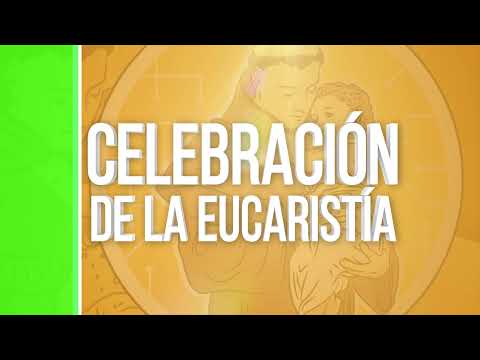 Santa Misa - Hoy Miércoles XXIII semana del Tiempo Ordinario 9 de sep del 2026