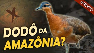 Miniatura do vídeo