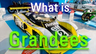 How to Say Grandees in English | What are Grandees | How Do Grandees Look