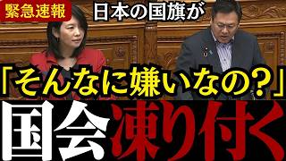 【ブチ切れ】※日本人は見てください...参政党の梅村議員が国会で国旗損壊罪の反対派を完全論破!!【シバキ隊/高市内閣/梅村みずほ/公明党】