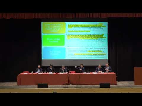 Le società Partecipate Da Amministrazioni Locali TIZIANO TESSARO