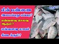 மீன் பண்ணை அமைப்பது எப்படி செலவு பரா�