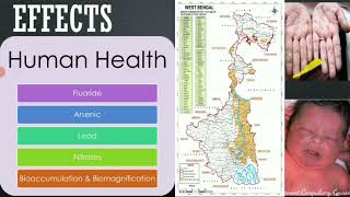 Water Pollution | EVS | Environmental Studies