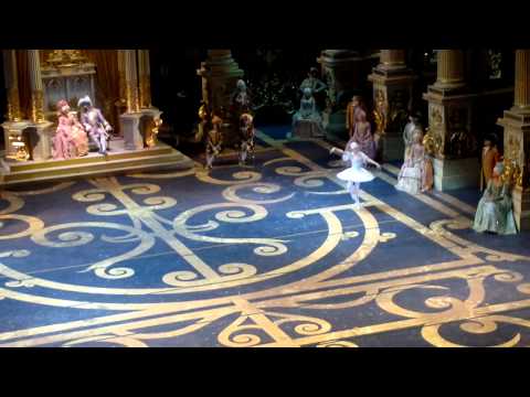 Sleeping beauty Bolshoi (rehearsal 17.11.11)  Nina Kaptsova