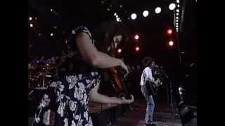 Jackson Browne - Take It Easy &amp; Our Lady of the Well (Live at Farm Aid 1990)