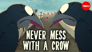 How smart are crows? - Katharina Brecht