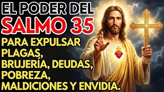 SALMO 35: ORACIÓN PODEROSA PARA EXPULSAR PLAGAS, DEUDAS Y POBREZA