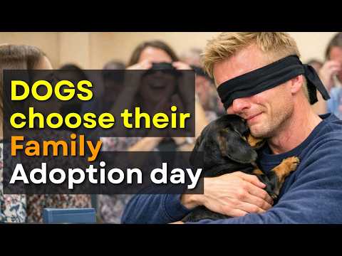 Every Dog Walked Past Everyone… Until This Moment