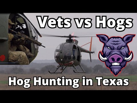 Veterans Helicopter Hog Hunting in Texas - Count the Hogs!
