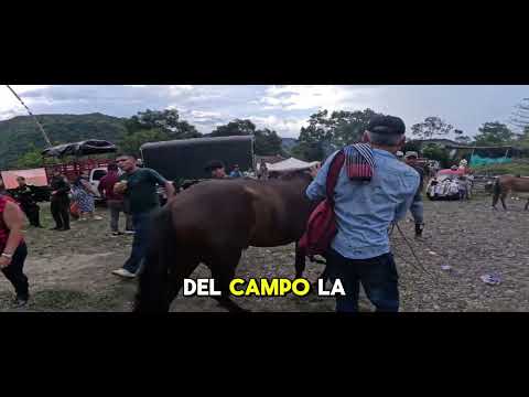 Feria Ganadera en Paime Cundinamarca. Viernes10 de octubre 2025.