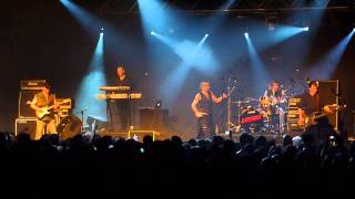 Litfiba Milano 30 gennaio 2013 - Cane