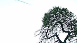 Fall of Efrafa - Dominion Theology