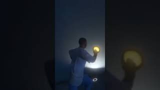 GTA5 GAMING video magical stone flower