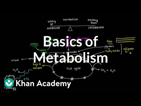 A thumbnail for: Growth and Metabolism