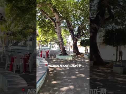Parque das Árvores em Caetité! #sertão #caetité #bahia
