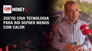Vídeo: Zoetis cria tecnologia para boi sofrer menos com calor | CNN AGRO NEWS