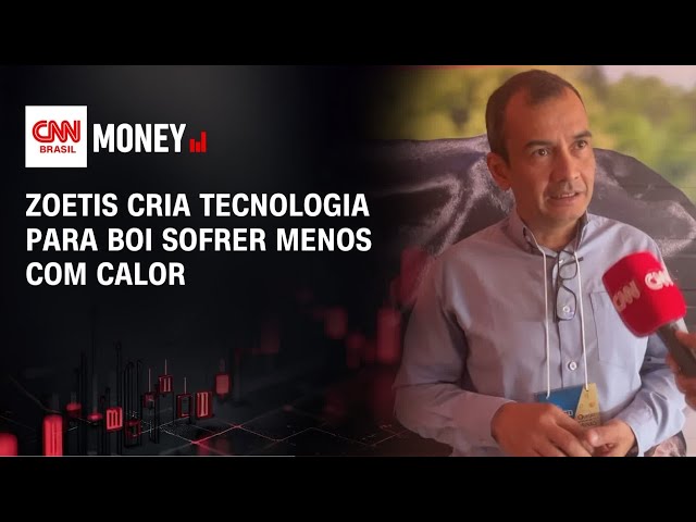 Zoetis cria tecnologia para boi sofrer menos com calor | CNN AGRO NEWS