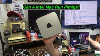 Can a Intel Mac run Pimiga?