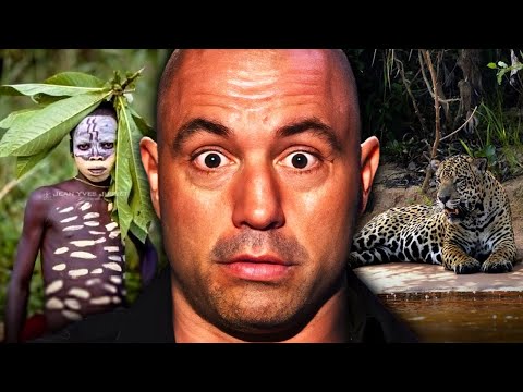 CRAZIEST Amazon Stories on Joe Rogan Podcast