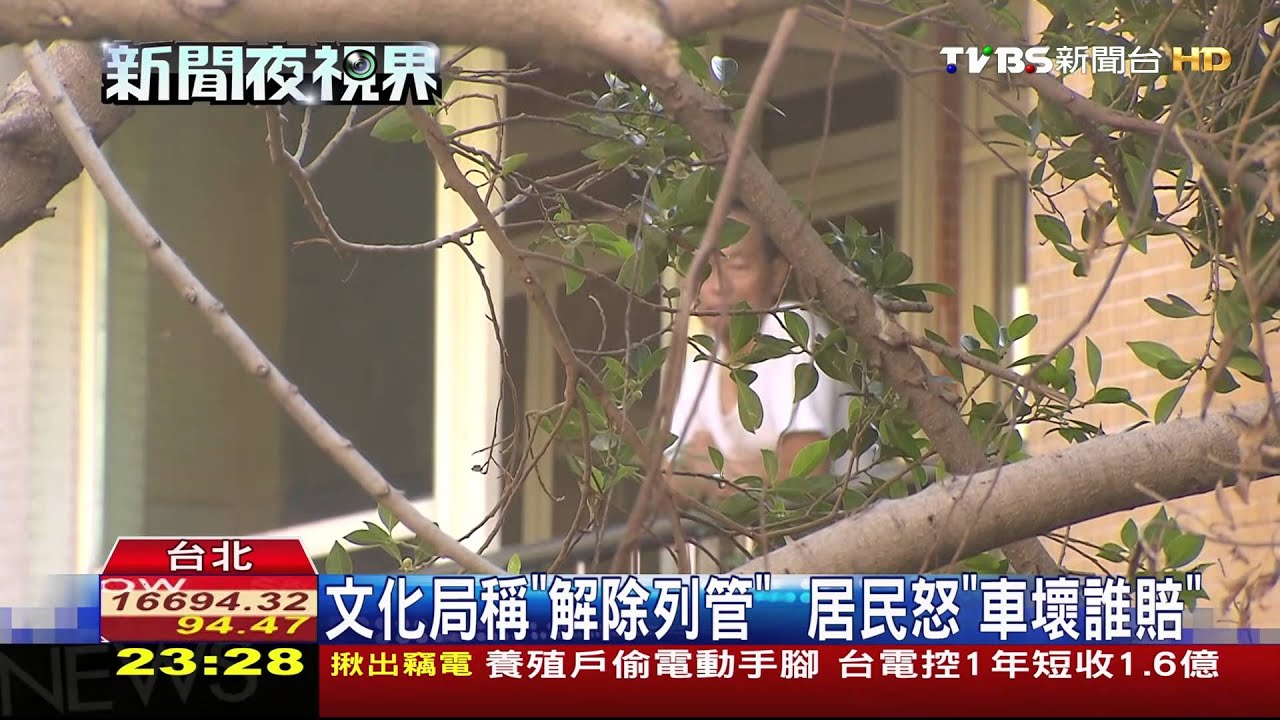 樹倒月餘竟沒人清! 文化局建商踢皮球
