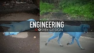 Engineering By Design: Blue Dogs