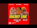 Sneaky Link 2 0 Sped Up Mix