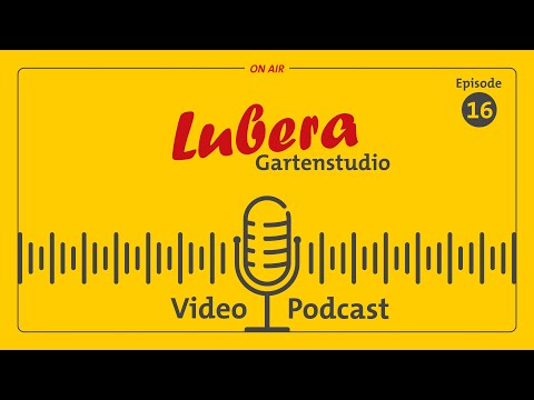 Heidelbeeren im Garten – Die 15 wichtigsten Fragen zu den Heidelbeeren – beantwortet