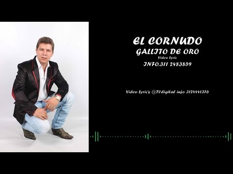 Gallito de Oro - El Cornudo - (Video Lyric) Letra - El Cornudo
