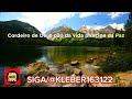 01 Fernandinho Galileu Com Letras