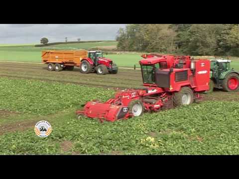 Matrot M41H harvesting sugar beet with Massey Ferguson 6499 and Fendt 718 Vario carting