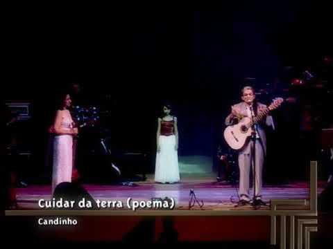 Em Cada Palmo Desse Chão video