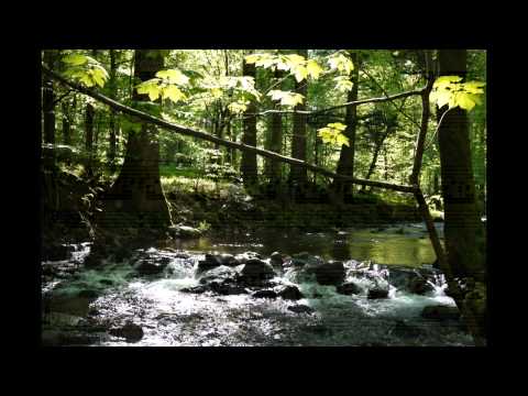 Richard Strauss Complete Piano Solo Works Tibor Szasz Op  3, 9, 5