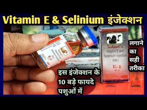 Vitamin E Selenium Supplement at Best Price in India
