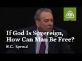 R.C. Sproul: If God Is Sovereign, How Can Man Be Free?