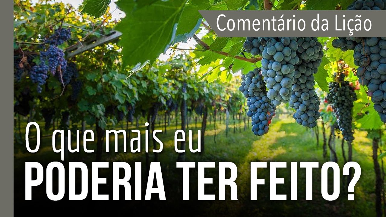 COMENTÁRIO DA LIÇÃO: O que mais Eu poderia ter feito? | Michelson Borges